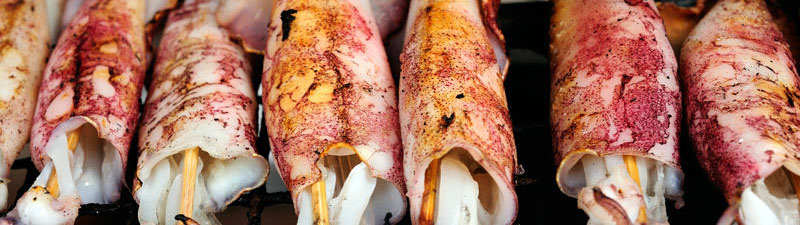 Titelbild MASEIKO - Matthias Seifert Koch