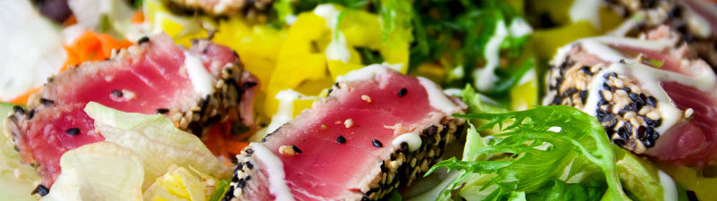 Titelbild MASEIKO Titelbild MASEIKO - Matthias Seifert Koch