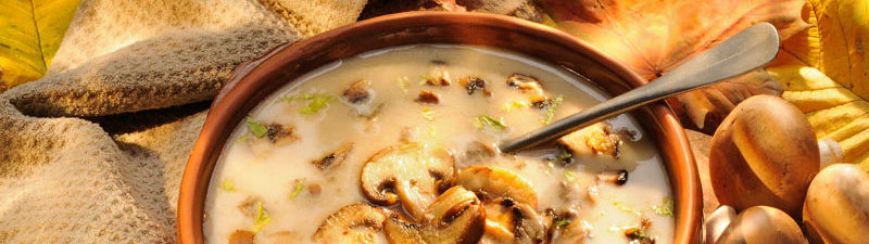 Titelbild MASEIKO Titelbild MASEIKO - Matthias Seifert Koch