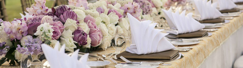 Titelbild MASEIKO - Matthias Seifert Koch